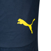 PUMA Fenerbahce SK Training Short 2024-2025 Dark Blue Yellow
