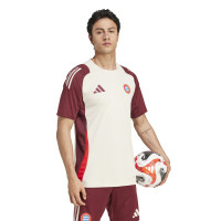 adidas Bayern Munich European Training Shirt 2024-2025 White Burgundy Red