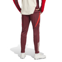 adidas Bayern Munich European Training pants 2024-2025 Burgundy Red White