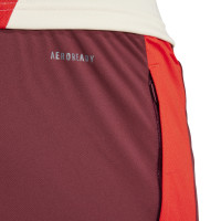 adidas Bayern Munich European Training pants 2024-2025 Burgundy Red White