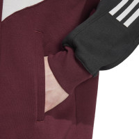 adidas Ajax Originals Hoodie 2024-2025 Bordeauxrood Wit Zwart