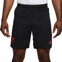 Nike Liverpool 3rd Kit 2024-2025