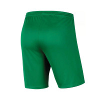 HV Hoorn Uit Keepershort Senior Groen