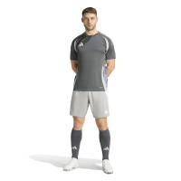 adidas Tiro 24 Voetbalbroekje Grijs Wit
