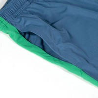 PUMA Neymar Jr. BNA Training Short 2.0 Kids Blue Green Yellow