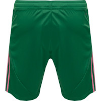 adidas Masters of Madness FC Paniekaanval Short Groen Roze