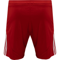 adidas Masters of Madness Real Boulette Special Short Rood Wit