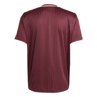 adidas Bayern München Terrace Icons T-Shirt Rood Wit