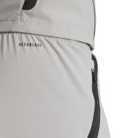 adidas Real Madrid Vis Tech Training pants 2024-2025 Grey