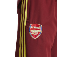 adidas Arsenal Urban Purist Training Pants Red Yellow White
