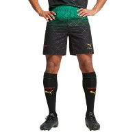 PUMA AC Milan X Off-White 4th Kit 2024-2025 Black Green Red