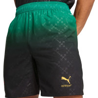 PUMA AC Milan X Off-White 4th Set 2024-2025 Red Black Green