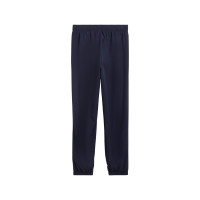 PUMA Manchester City FTBLArchive Training pants 2024-2025 Dark Blue Blue