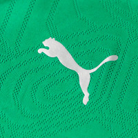 PUMA Marokko Trainingsshirt 2024-2026 Kids Groen Zilver