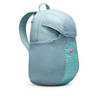 blue and pink nike backpack