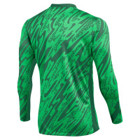 Nike Gardien V Long Sleeve Goalkeeper Shirt Green White