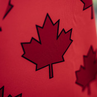 adidas SC Cambuur 80 jaar Bevrijdingsshirt 2024-2025