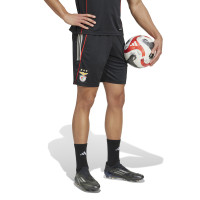 adidas Benfica Trainingsbroekje 2025-2026 Zwart Wit Rood