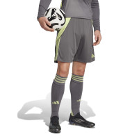 adidas Tiro 24 Voetbalbroekje Grijs Lichtgroen