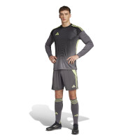 adidas Tiro 24 Voetbalbroekje Grijs Lichtgroen