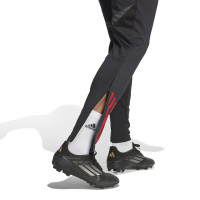 adidas Bayern München Trainingsbroek Europees 2025-2026 Zwart Rood