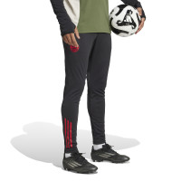 adidas Bayern München Trainingsbroek Europees 2025-2026 Zwart Rood