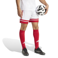 adidas Squadra 25 Football Kit White Red