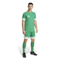 adidas Squadra 25 Football Shorts Green White