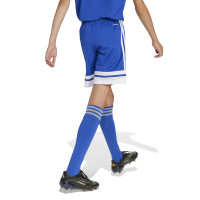 adidas Squadra 25 Kids Football Shorts Blue White