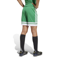 adidas Squadra 25 Voetbalbroekje Kids Groen Wit