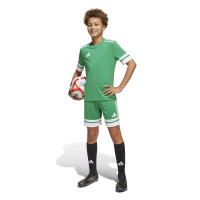 adidas Squadra 25 Voetbalbroekje Kids Groen Wit