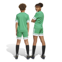 adidas Squadra 25 Voetbalbroekje Kids Groen Wit