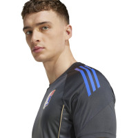 adidas Olympique Lyon Trainingsshirt 2025-2026 Donkergrijs Goud Rood Blauw