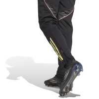 adidas Juventus Training pants 2025-2026 Women Black