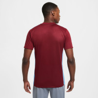 Nike Park Derby IV Voetbalshirt Bordeauxrood Blauw Wit