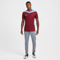 Nike Park Derby IV Voetbalshirt Bordeauxrood Blauw Wit