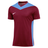 Nike Park Derby IV Voetbalshirt Bordeauxrood Blauw Wit