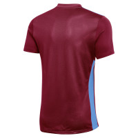 Nike Park Derby IV Voetbalshirt Bordeauxrood Blauw Wit