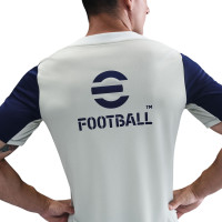 Nike Inter Milan Strike Trainingsset 2025-2026 Lichtgrijs Donkerblauw Wit