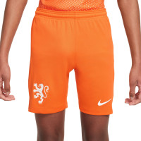 Nike Netherlands Home Set Orange Lioness 2025-2027 Kids