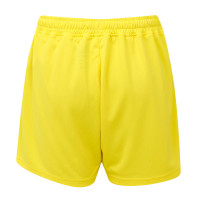 Castore Feyenoord Keeperstenue Thuis 2025-2026 Kids