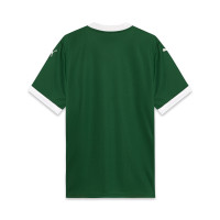 PUMA SE Palmeiras Thuisshirt 2025-2026