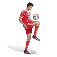 adidas Bayern München Thuisbroekje 2025-2026