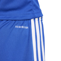 adidas Squadra 25 Voetbalbroekje Kids Blauw Wit