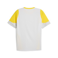 PUMA Borussia Dortmund Training Set 2025-2026 Silver Black Yellow