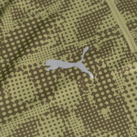 PUMA Cercle Brugge Trainingstrui 1/4-Zip 2025-2026 Groen