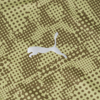 PUMA Cercle Brugge Training Shirt 2025-2026 Green