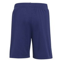 adidas Ajax Minikit Uit 2025-2026 Peuters/Kleuters