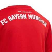 adidas Bayern Munchen Thuis Minikit 2019-2020