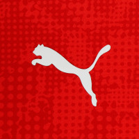 PUMA AC Milan Training Shirt 2025-2026 Red Black White